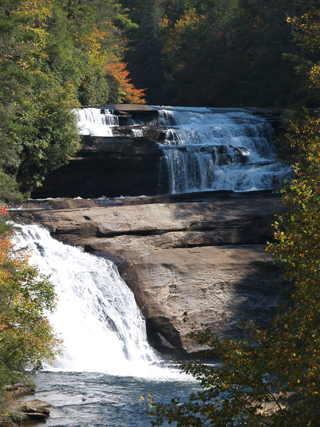 Dupont State Forest in Brevard NC. 